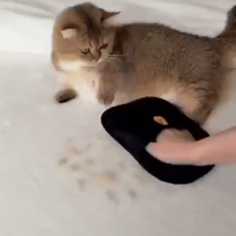 Pet Hair Removal Glove™
